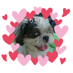 miki_20210912113254