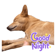 smile_20210909192502