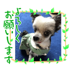 miki_20210912125927