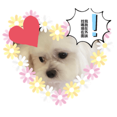 Maru 第一系列貼圖