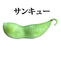 edamame yudetate 2