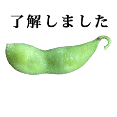 edamame yudetate 4