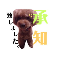 Days with my fluffy one