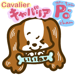 Cavalier Po chan