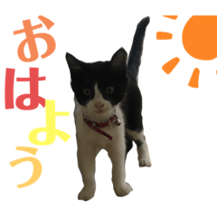 NOZOMI_20210909203847