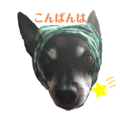 Arisa_20210912184840