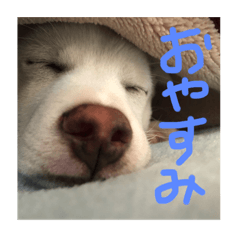 Asu01_20210909201254