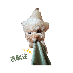 嘟嘟裝可愛