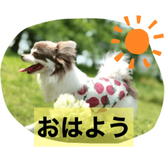 saya_20210912192441
