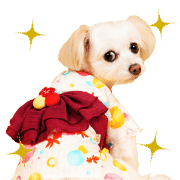 Ruby cute Sticker