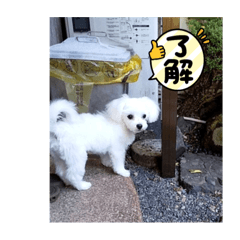 koko_20210912202151
