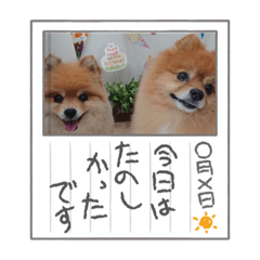 miki_20210912203105