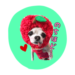 ruby sticker 3