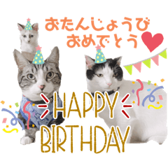 sayuri_20210912214535