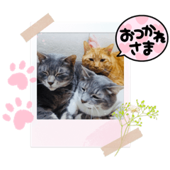 aoi_20210912214254