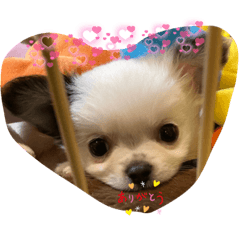 Kuu_20210912220105