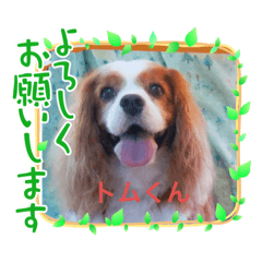 miki_20210913094215