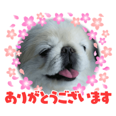miki_20210913101842