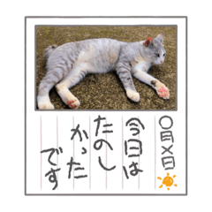 Ayumi_20210909210354