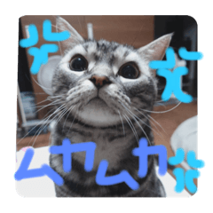 yuina_20210909214935