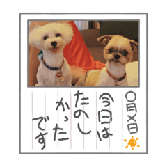 saya_20210912014230