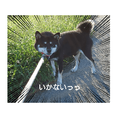 yuka_20210911205149