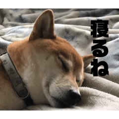 hikari_20210909220813