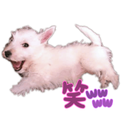 akiko_20210909222155