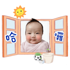 鯨魚的日常生活