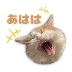 natsumi_20210913015013