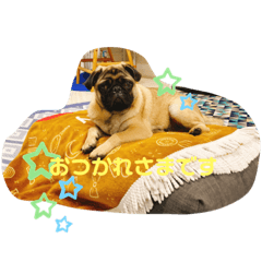 chie_20210913163038