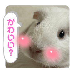 chisa_20210909234023