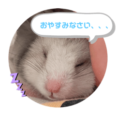 chisa_20210909230822