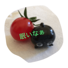 yunpicture