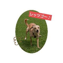 tomomi_20210913175227