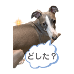 ayumi_20210913180430