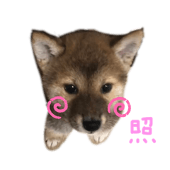 saya_20210909224819