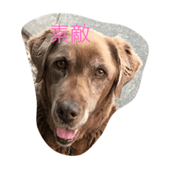 LAB.risty,