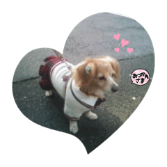 yuka_20210909225254