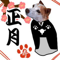 お正月クリスマスわんこ Line スタンプ Line Store