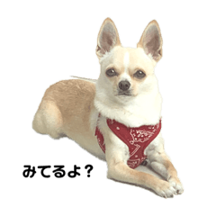 Ryuki_20210913210003