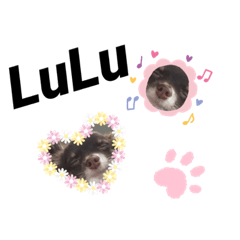 LuLu_20210913211039