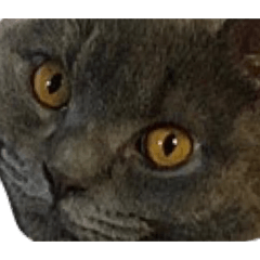 YK_20210913214954