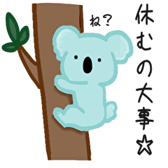 kinishigamitsuku koala