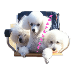 AKIKO_20210913211624