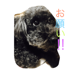 COCO&RYUKI