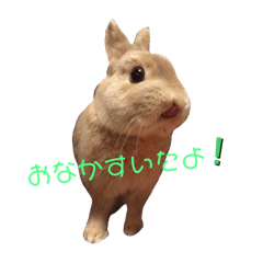 Nozomi_20210913230515