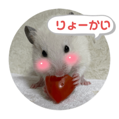 chisa_20210909232735