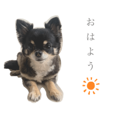 kuu_20210910012559