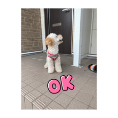 KAITO_20210910031526